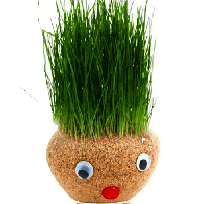 نوروز مبارک