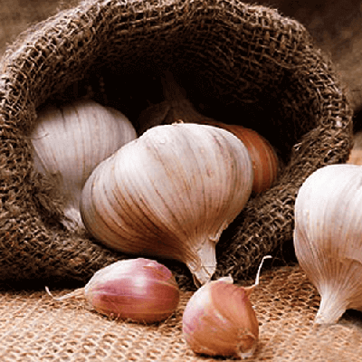 نوروز مبارک